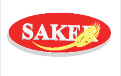 Logo saker