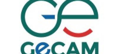groupement_interpatronal_du_cameroun_gicam_logo